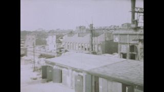 Link to Video