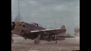 Link to Video