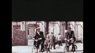 Link to Video