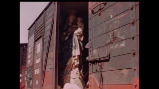 Link to Video