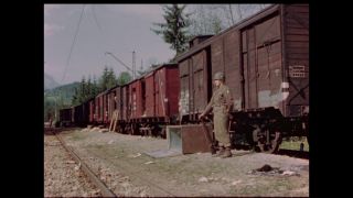 Link to Video