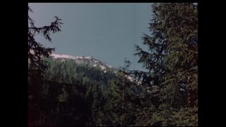 Link to Video