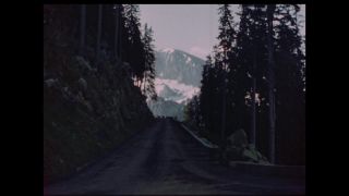 Link to Video