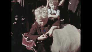 Link to Video