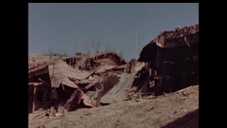 Link to Video