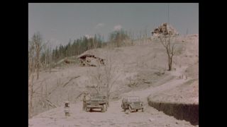 Link to Video