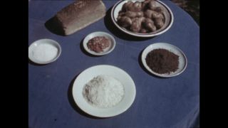 Link to Video