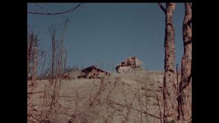 Link to Video