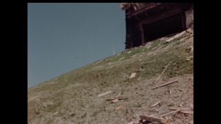 Link to Video