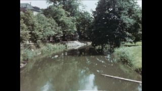 Link to Video