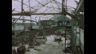 Link to Video