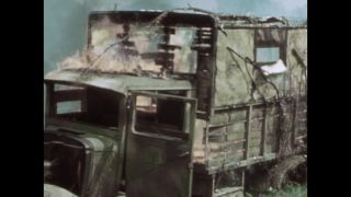 Link to Video | ruins