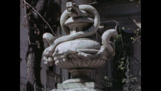 Link to Video | ruins
