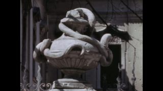 Link to Video | ruins