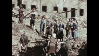 Link to Video