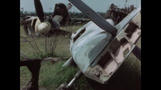 Link to Video | ruins