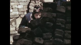 Link to Video
