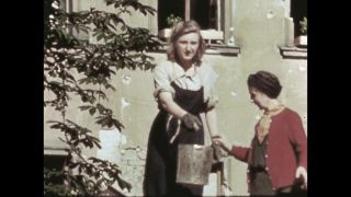 Link to Video