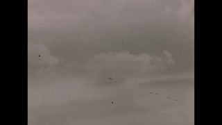 Link to Video