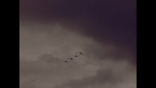 Link to Video