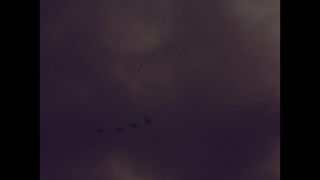 Link to Video