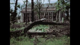 Link to Video