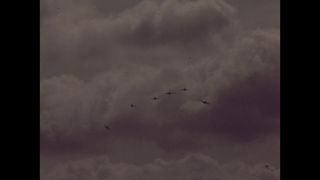 Link to Video