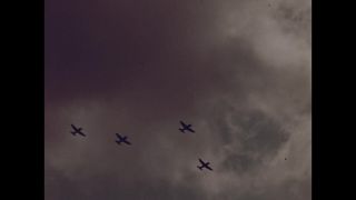 Link to Video
