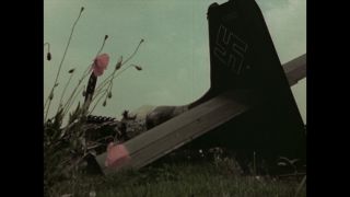 Link to Video