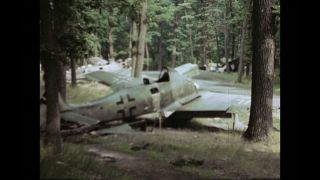 Link to Video