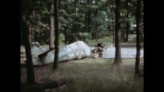 Link to Video