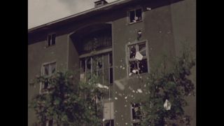 Link to Video
