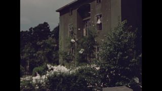 Link to Video