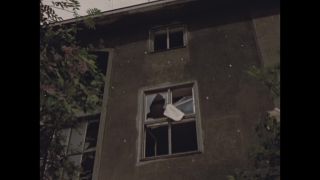 Link to Video