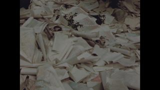 Link to Video