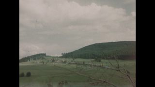 Link to Video