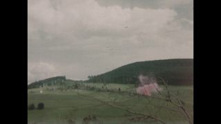 Link to Video