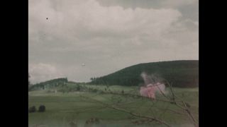 Link to Video