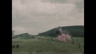 Link to Video