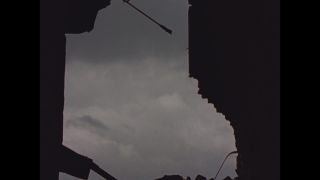 Link to Video