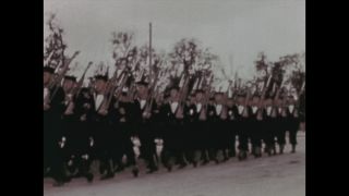 Link to Video