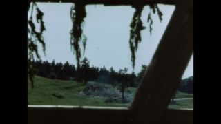 Link to Video | ruins