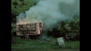 Link to Video | ruins