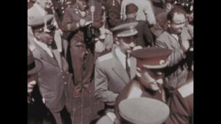 Link to Video