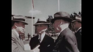 Link to Video