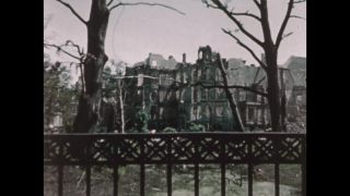 Link to Video