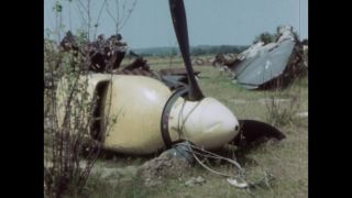 Link to Video | ruins