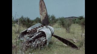 Link to Video | ruins