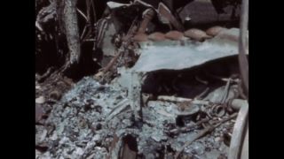 Link to Video | ruins