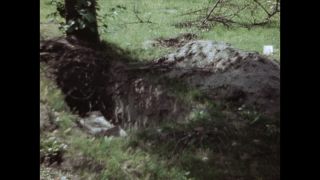 Link to Video